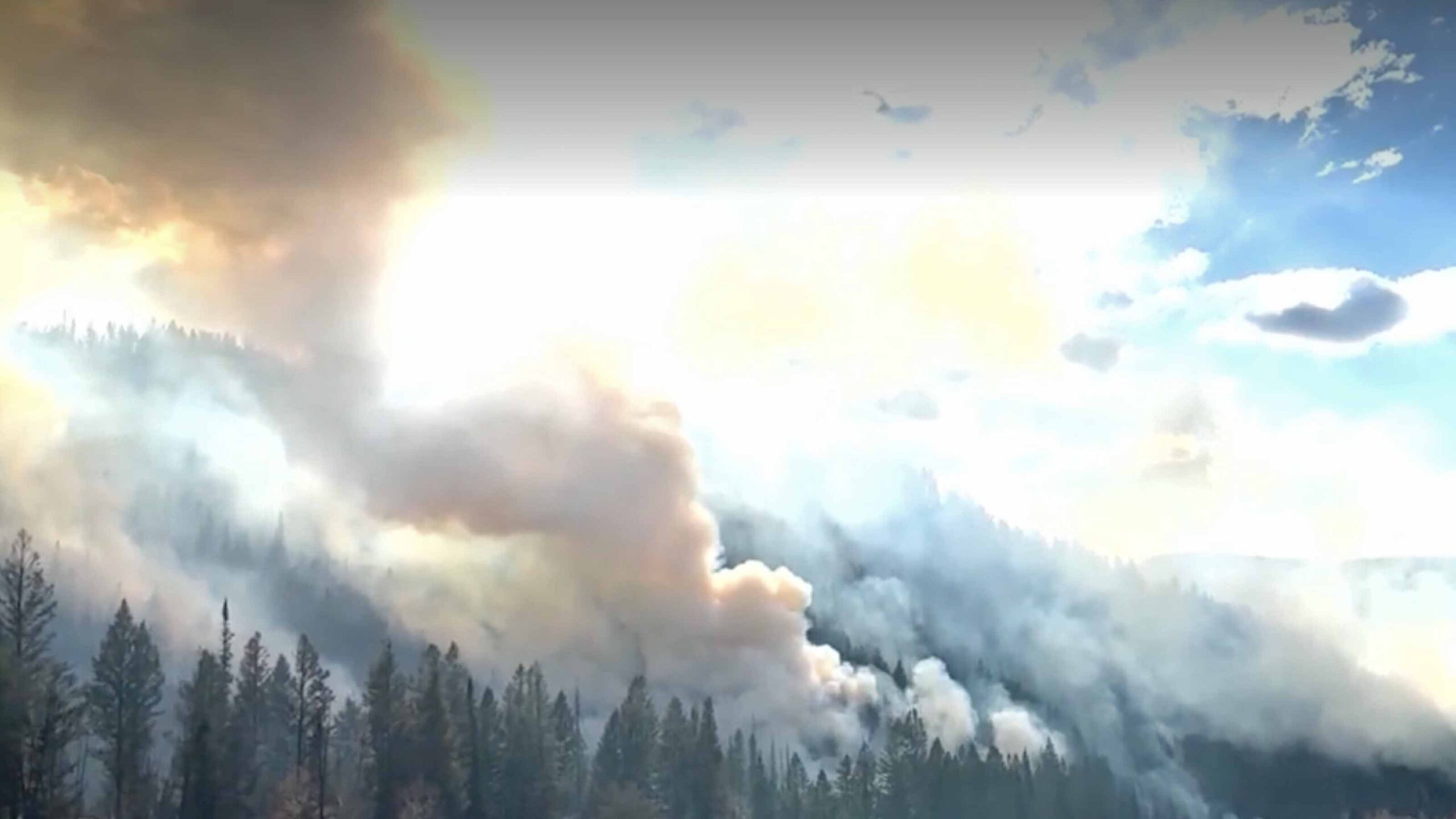 Yellow Lake Fire