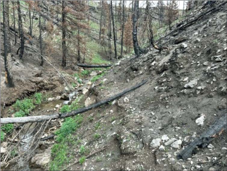 Soapstone Creek